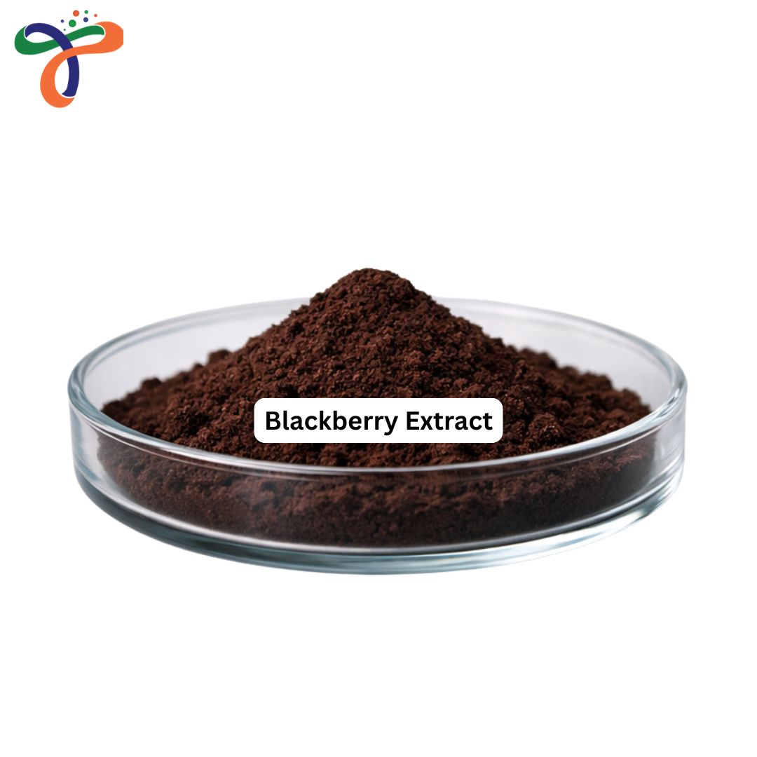 Blackberry Extract